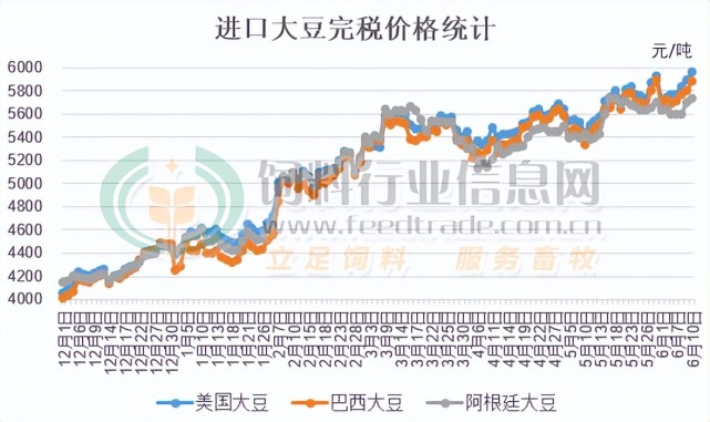 进口大豆价格最新动态分析