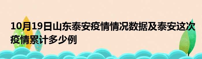 山东十月十一日最新疫情概况